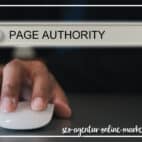 Was bedeutet die Page Authority von MOZ